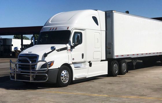 304 φρουρά ελαφιών φορτηγών ανοξείδωτου